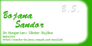 bojana sandor business card